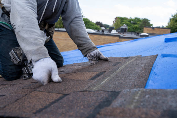 Roof Gutter Cleaning in Brushy, OK